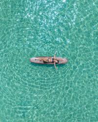 Bee (@debrapurvis68)  X