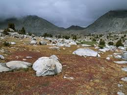 Want to discover art related to tudnra? Tundra Facts And Information