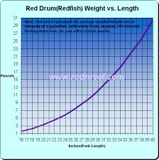 Estimate On Red Drum Weight Page 2 Main Forum Surftalk