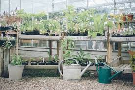 Shopper S Diary Secret Herb Garden In Scotland Gardenista Herb Garden Gardenista Herbs