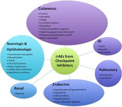 Despite careful preparation, it thus remains difficult to distinguish between these conditions even when lymph nodes are strictly evaluated. Immune Related Sarcoidosis Observed In Combination Ipilimumab And Nivolumab Therapy Jaad Case Reports