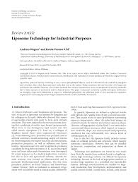 PDF) Liposome Technology for Industrial Purposes
