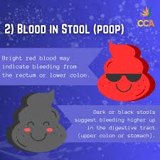 Image result for blood in stool human poop