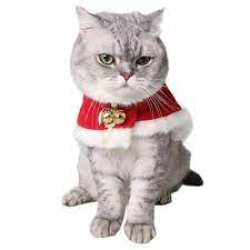 Myidea Cat Holiday Decoration Costume Red Fashion Cloak We Do Hope That You Do Enjoy The Photo This Is Christmas Pet Clothes Pet Costumes Christmas Cats