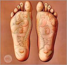 Acupressure Wellness Foot Reflexology Charts Reflexology Foot Massage Acupressure