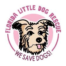 We'll help you connect with local organizations to find your new best friend. Pets For Adoption At Florida Little Dog Rescue In Orlando Fl Petfinder