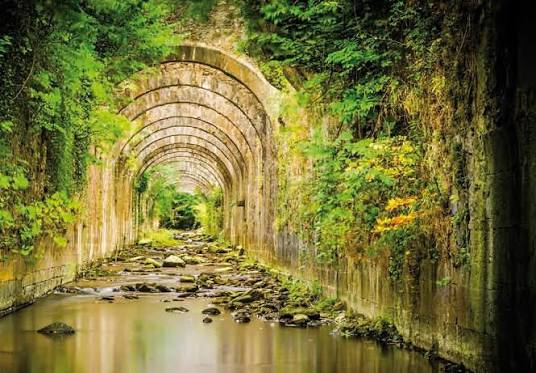 Selva de Irati | Visit Navarra - Web Oficial de Turismo de Navarra