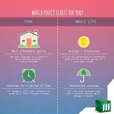 To customise this best term life insurance in malaysia according to your needs, you can also purchase critical illness, medical, accident, and one of the best term life insurances in malaysia, manuterm, offers insurance coverage for death and total and permanent disability at competitive. Facebook