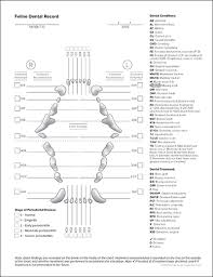 Unconscious Oral Evaluation