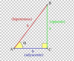 Trigonometric Functions Triangle Trigonometry Png Clipart
