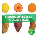 La calidad culinaria de la batata es un carácter complejo que ...