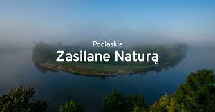 Create your logo design online for your business or project. Podlaskie Zasilane Natura