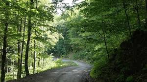 Tură Cu Bicicleta Pe Valea Doftanei Via Brebu Si Lutu Rosu Jurnal De Hoinar Country Roads Road Travel