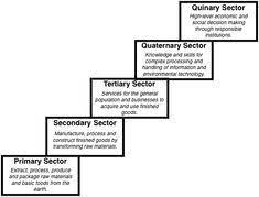 Human activities which generate income are known as economic activities. 14 Economics Ideas Economics Circular Flow Of Income Primary Activities