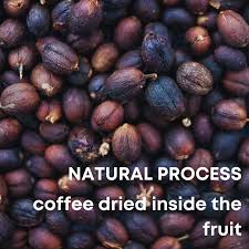 Image result for Maerua cafra