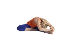 Janu Sirsasana Or Head To Knee Forward Bend Is Appropriate For All Levels Of Student And A Spinal Twist To Boot Forward Bend Bend Yoga Yoga For Scoliosis