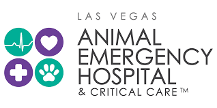 If you are unsure what qualifies as emergency veterinary care, call your veterinarian and describe the symptoms. Veterinarian In Las Vegas Nv Las Vegas Animal Emergency Hospital Critical Care