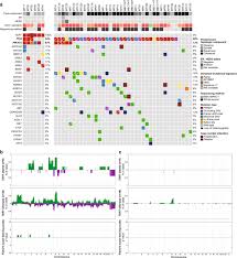 All cancers begin when dna mutations, or changes, cause cells to divide and grow out of control. Tert Promoter Hotspot Mutations And Gene Amplification In Metaplastic Breast Cancer Npj Breast Cancer
