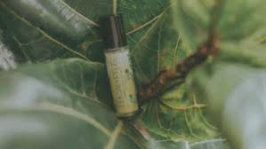 La Meilleure Huile Essentielle D Eucalyptus 2021 Comment Bien Choisir