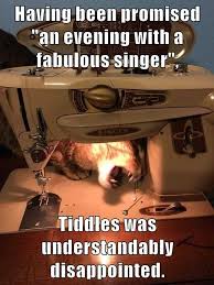 A Fabulous Singer Lolcats Lol Cat Memes Funny Cats Funny Cat Pictures With Words On Them Funny Pictures Lol Cat Memes Lol Cats