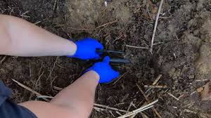 No matter how your sprinkler head got damaged or quit working, there's no need to call the irrigation company to do the repairs. How To Fix A Broken Lawn Sprinkler Line Youtube