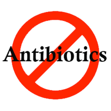 Antibiotic use may also trigger vaginal thrush in some women and require additional treatment. Why Does It Hurt To Pee How To Cure A Uti Without Antibiotics Hubpages