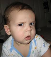 Philosophy Final Exam (Professor Jake Cardillo) Flashcards