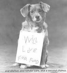 And i was wondering what category on craigslist would it thank goodness they don't allow pet sales on craigslist. Petition Craigslist Enforce No Breeding Or Sales Policy Of All Animals On All Of Craigslist Change Org