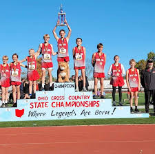 Middle school cross country: Minerva boys, Fairless' Brice Fuller win state  championships