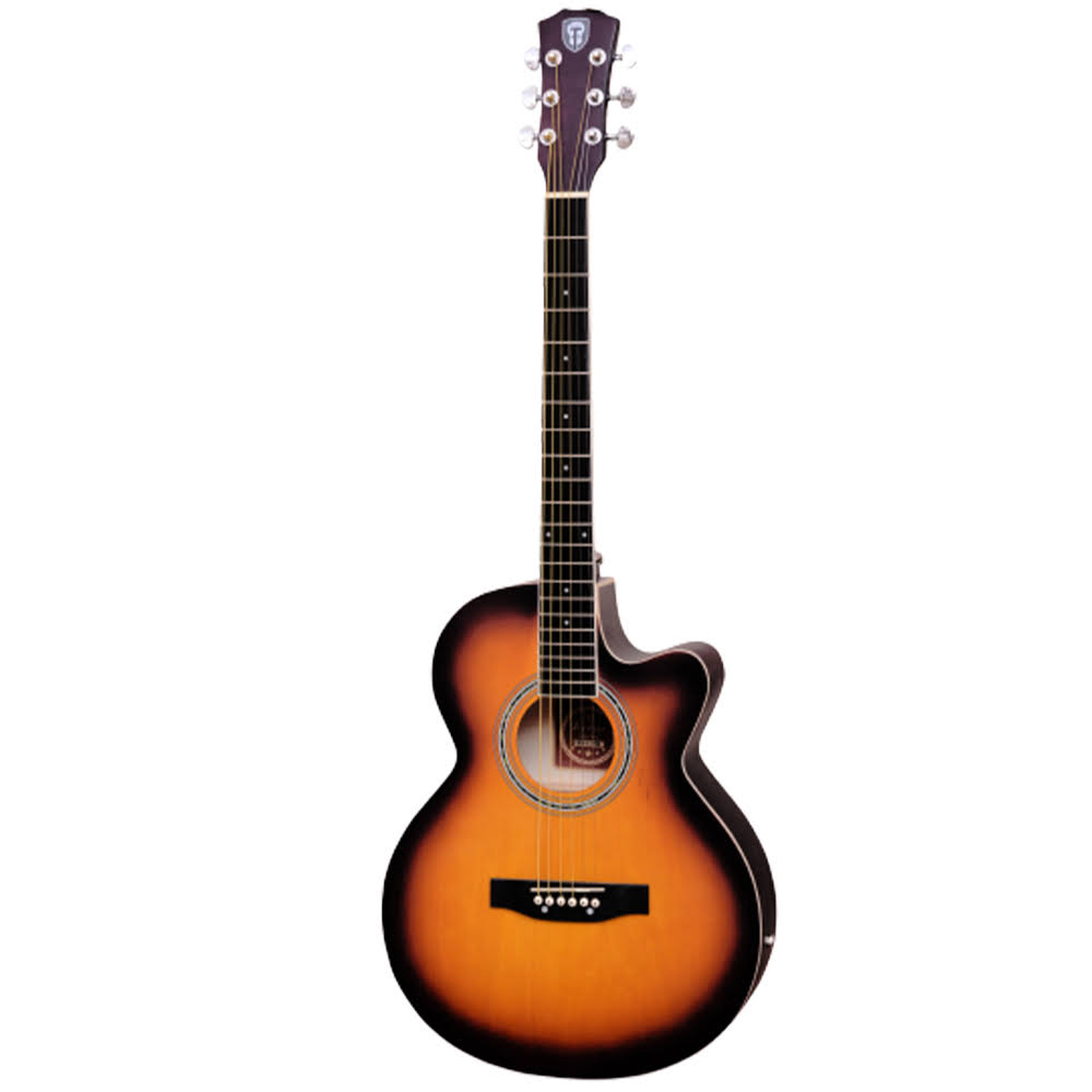 Techno TM- 39 P Acoustic Guitar product image