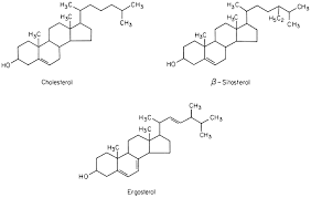 Maybe you would like to learn more about one of these? The Molecular Biology Of Plant Cells D0e1038