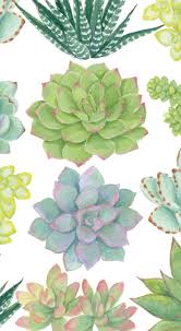Succulents Guest Towels 180 Ct Paper Guest Towels Disposable Hand Towels Guest Towels