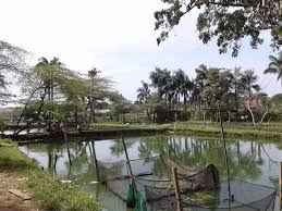 Selamat Pagi Mancing Mania Pemancingan Kiloan Safar Fishing House