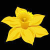 Bright flower in the background of a gloomy world. Https Encrypted Tbn0 Gstatic Com Images Q Tbn And9gcsbrgpv 26bwskc10brqkpkfidvqgez8icmg Ywiza Kjzkvbwd Usqp Cau