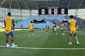Tigres Vs Minnesota