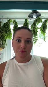 I think I'm set with the Italian herb blend lol #gardening #garden #ve...