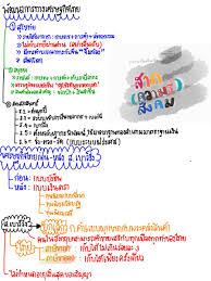 Намнун суттидачанай / namnung suttidachanai / น้ำหนึ่ง สุทธิเดชานัย. à¸ªà¸£ à¸›à¸ª à¸‡à¸„à¸¡ Hashtag On Twitter