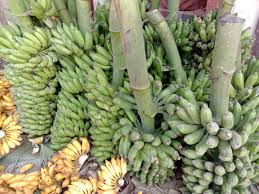 We did not find results for: Healthy Raw Banana Bunch Stock On Shop For Sell Stock Photo Picture And Royalty Free Image Image 163714356
