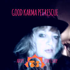 Robin Hudson-Schilling