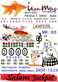 We did not find results for: Mimpi Ikan Hias Dalam Togel Syair Jitu