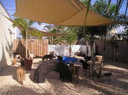 Cool Play Yard Set Up For Dogs Dog Playground Dog Backyard Dog Yard