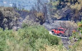 Δίνει νερό σε χελωνάκι μετά τη φωτιά στην αχαΐα. Se E3eli3h Fwtia Sthn Kw H Ka8hmerinh