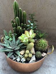 We did not find results for: 10 Succulent Dish Garden Ideas Stylish As Well As Interesting Succulents Cactus House Plants Plants