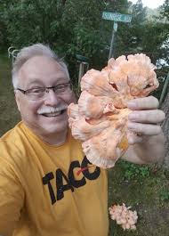 Couple of mushrooms for the garden