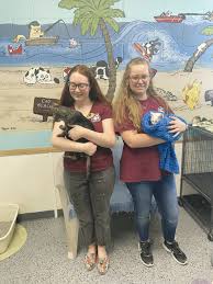 1250 a1a s, saint augustine beach (fl), 32080, united states. Safe Animal Shelter Inundated With Kittens Clay Today