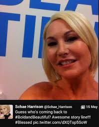 The Bold and the Beautiful' Spoilers: Schae Harrison Back as Darla  Doppelganger