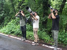 Bird watching tours