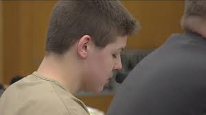 Teen Sentenced For Killing Of Great Grandmother With Hatchet Youtube
