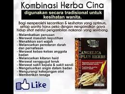 Dibuka hari ini sehingga 8:00 ptg. Angelica Plus Herbs Lazada Singapore