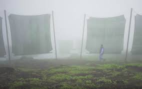 Catching fog to help combat Peru's water shortage | The Kid Should ...